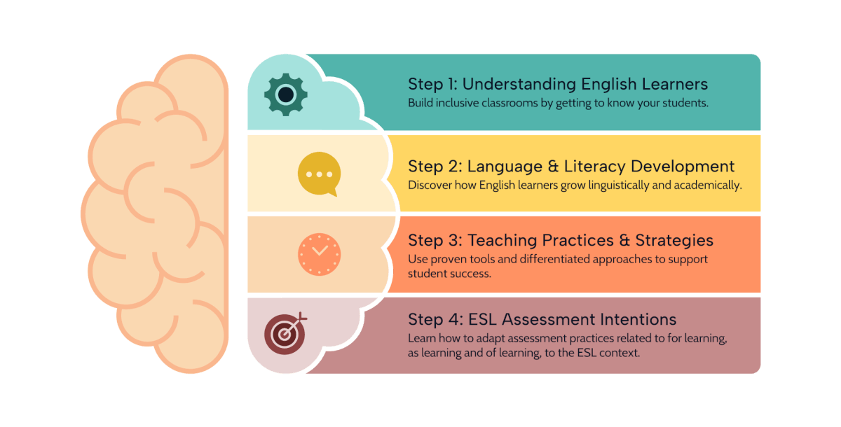 Diagram of a brain divided into four labeled sections